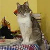 Отзыв от Ольга Костина